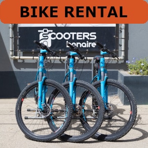 Bike rental Bonaire